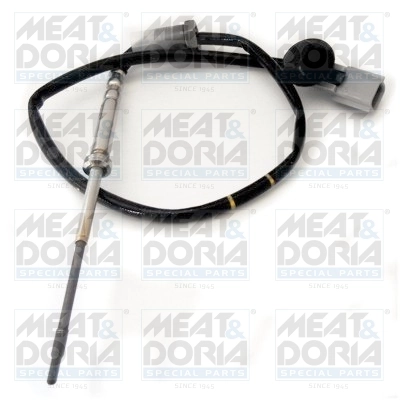 Sensor, exhaust gas temperature